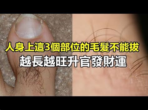 左手長白毛|【手上長白毛】揭秘手上長白毛的真相：吉兆還是凶兆？